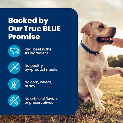 Blue Buffalo Life Protection Formula Beef Senior 7+ Dry Dog Food, 5 lb
