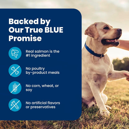 Blue Buffalo Life Protection Formula Beef Senior 7+ Dry Dog Food, 5 lb