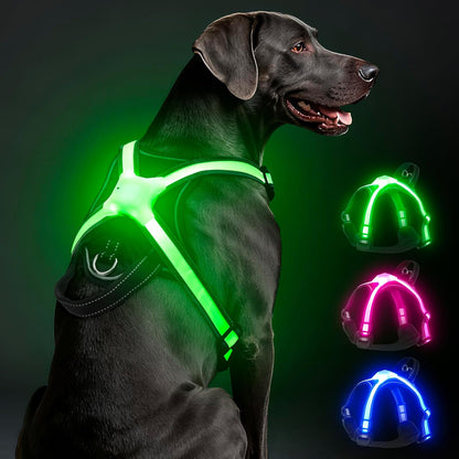Light Up Dog Harness, Multicolor LED Reflective Vest, Glow in The Dark Safety Dog Harness, USB-C Rechargeable with Battery Indicator, Adjustable No-Pull Lighted Harness for Night Walking (Large)