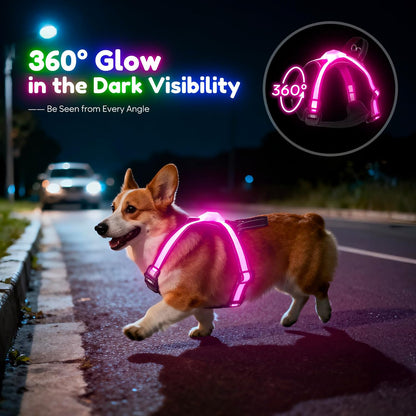 Light Up Dog Harness, Multicolor LED Reflective Vest, Glow in The Dark Safety Dog Harness, USB-C Rechargeable with Battery Indicator, Adjustable No-Pull Lighted Harness for Night Walking (Large)