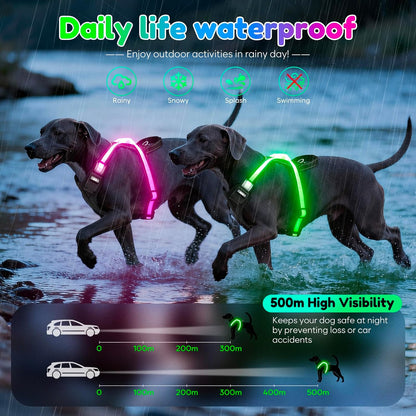 Light Up Dog Harness, Multicolor LED Reflective Vest, Glow in The Dark Safety Dog Harness, USB-C Rechargeable with Battery Indicator, Adjustable No-Pull Lighted Harness for Night Walking (Large)
