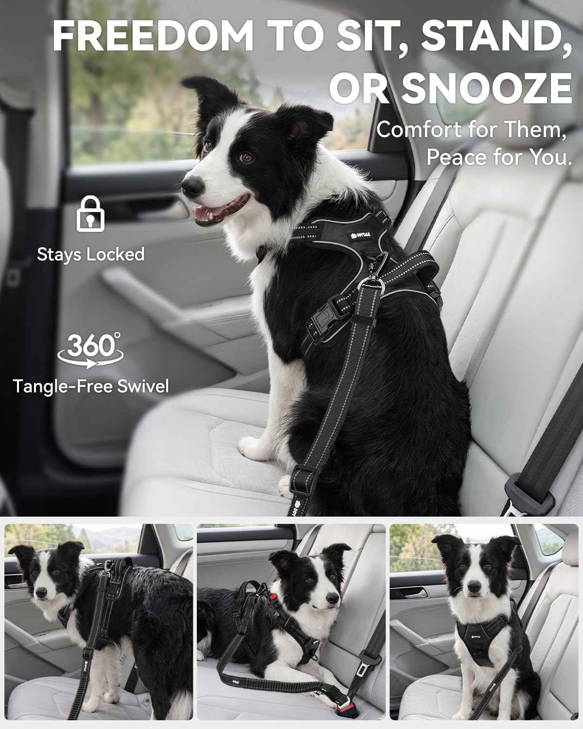 3-in-1 Bungee Dog Seat Belt for Car, Medium and Large Dogs, Black