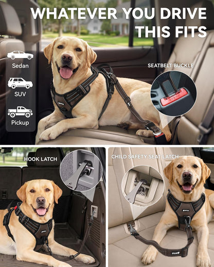 3-in-1 Bungee Dog Seat Belt for Car, Medium and Large Dogs, Black