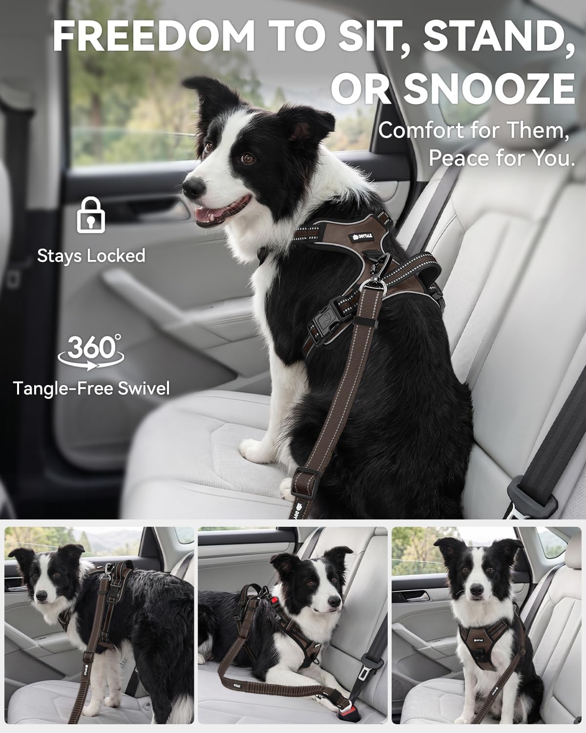 3-in-1 Bungee Dog Seat Belt for Car, Medium and Large Dogs, Black
