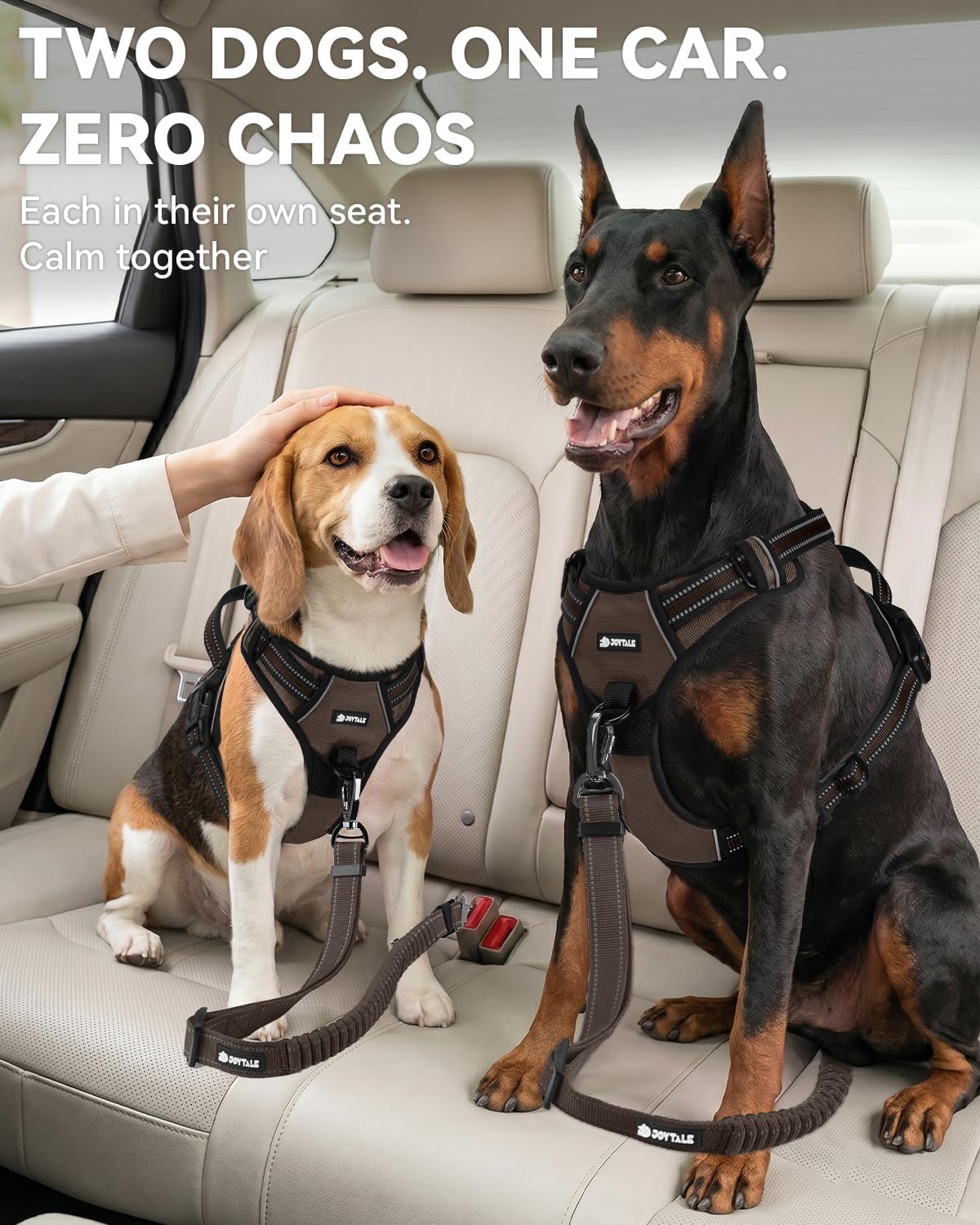 3-in-1 Bungee Dog Seat Belt for Car, Medium and Large Dogs, Black