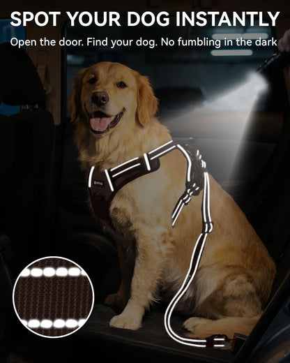 3-in-1 Bungee Dog Seat Belt for Car, Medium and Large Dogs, Black