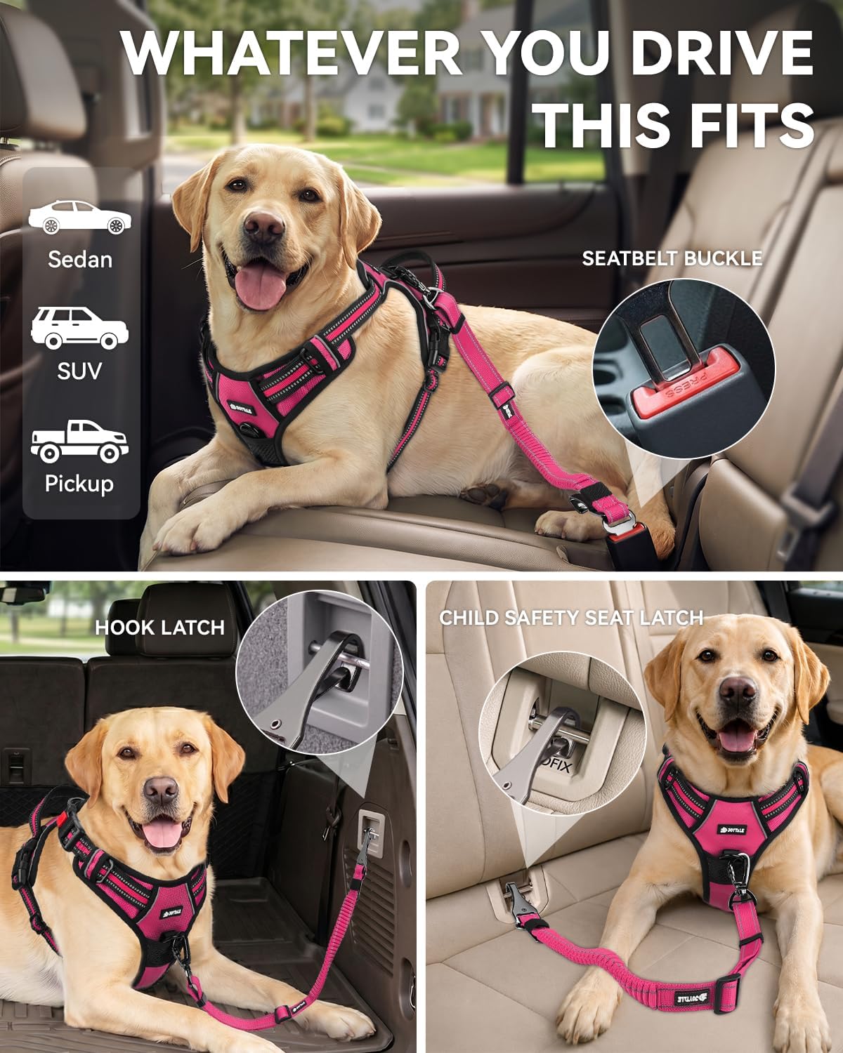 3-in-1 Bungee Dog Seat Belt for Car, Medium and Large Dogs, Black