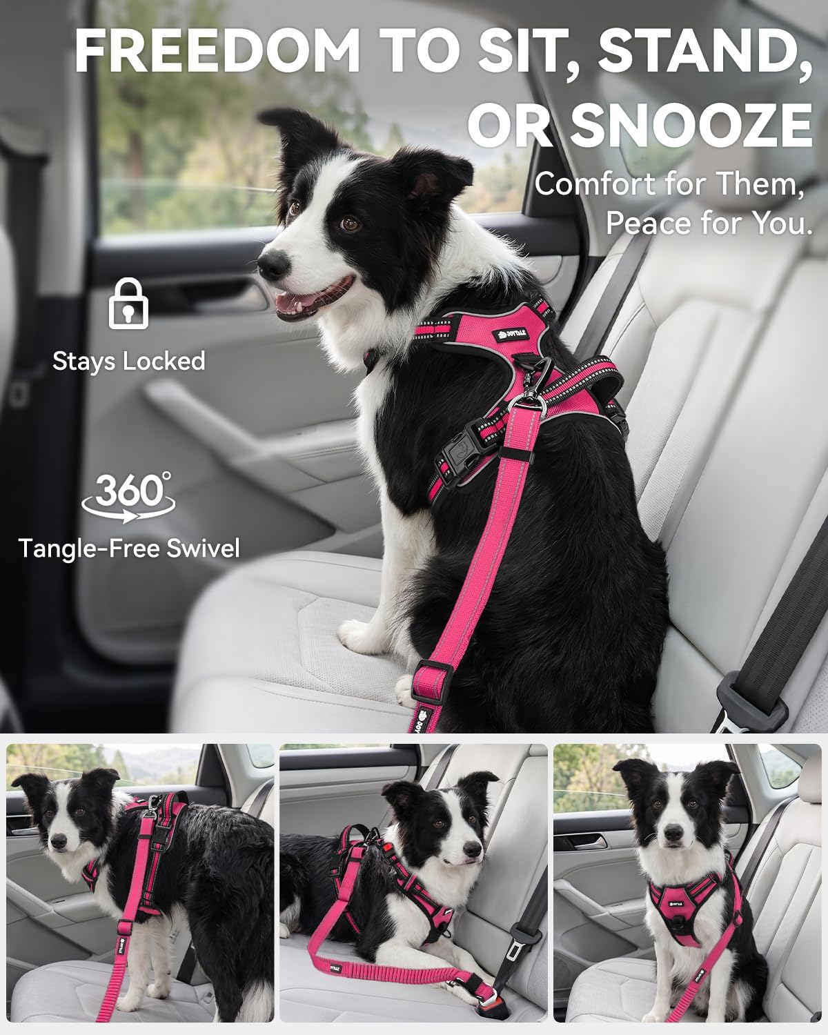 3-in-1 Bungee Dog Seat Belt for Car, Medium and Large Dogs, Black