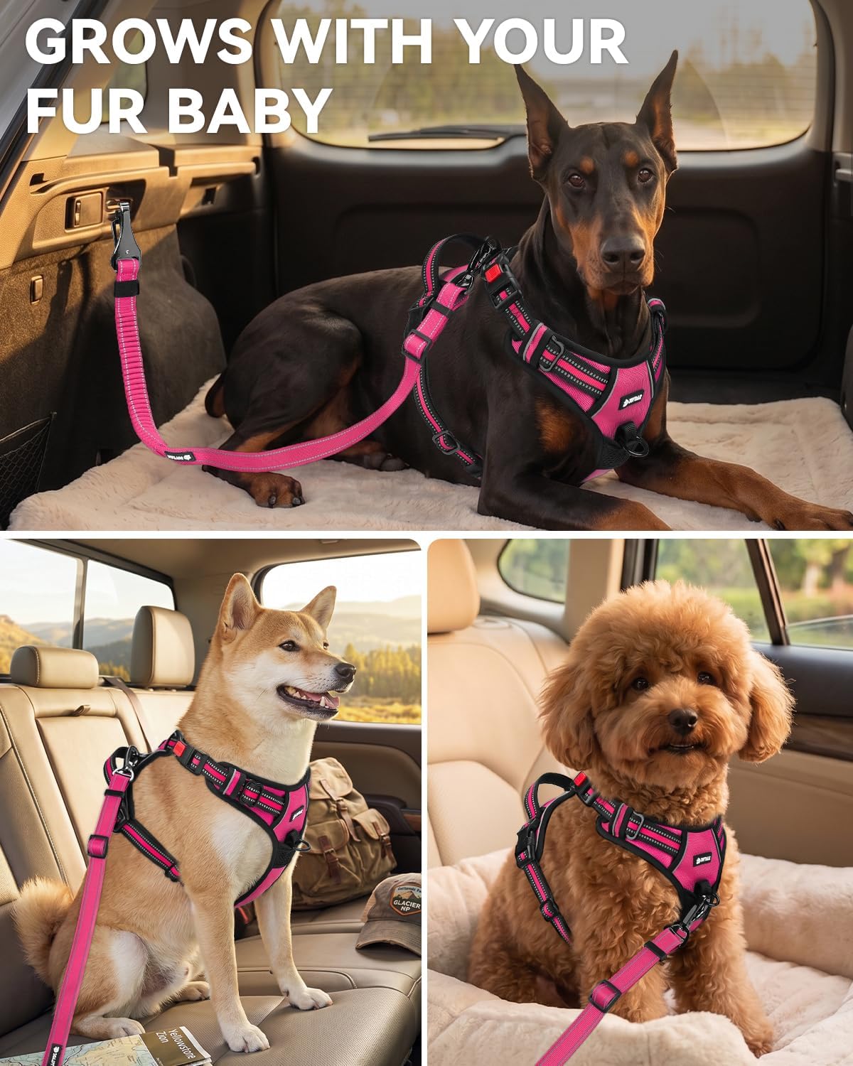 3-in-1 Bungee Dog Seat Belt for Car, Medium and Large Dogs, Black