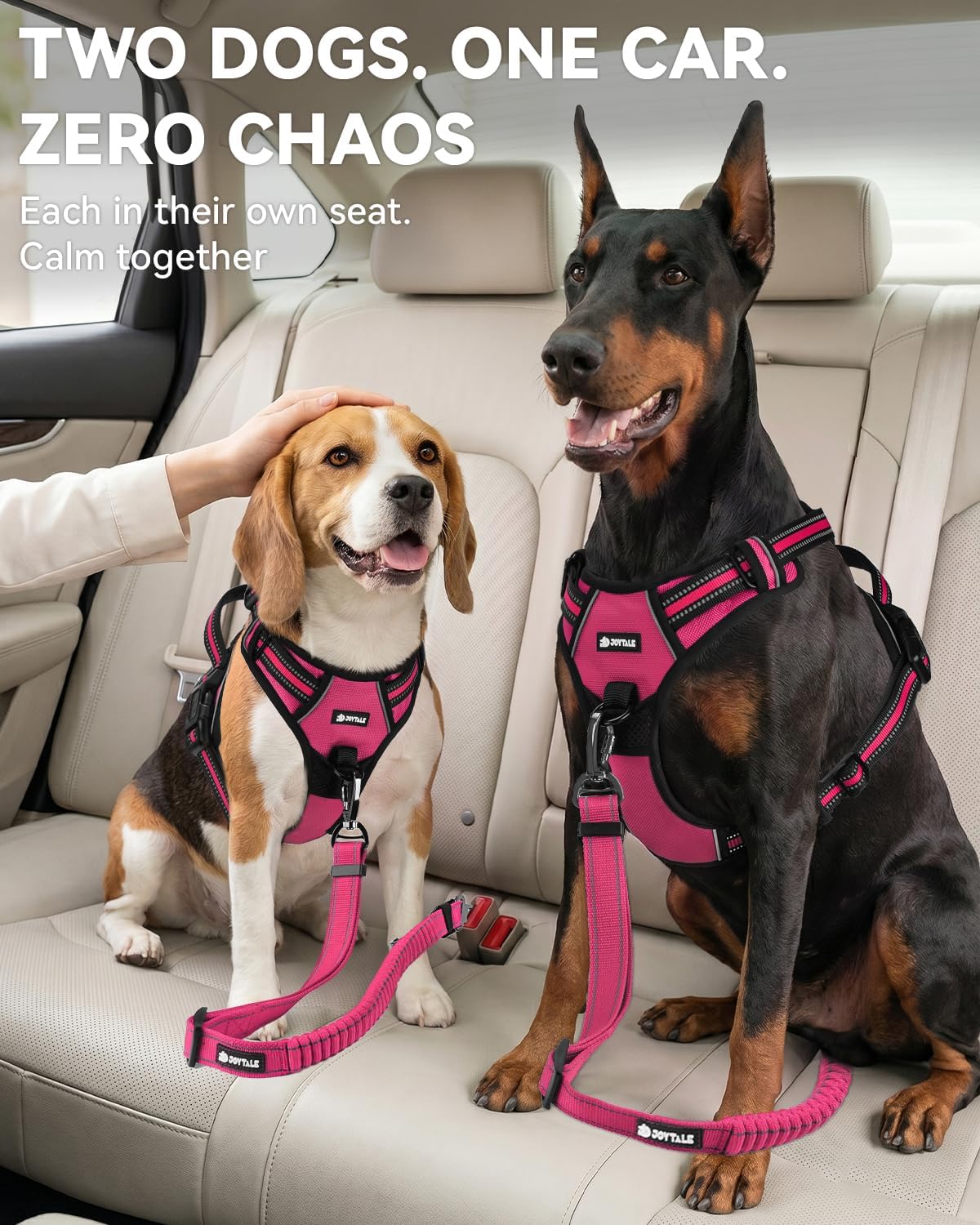 3-in-1 Bungee Dog Seat Belt for Car, Medium and Large Dogs, Black