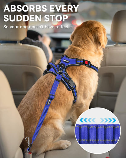 3-in-1 Bungee Dog Seat Belt for Car, Medium and Large Dogs, Black