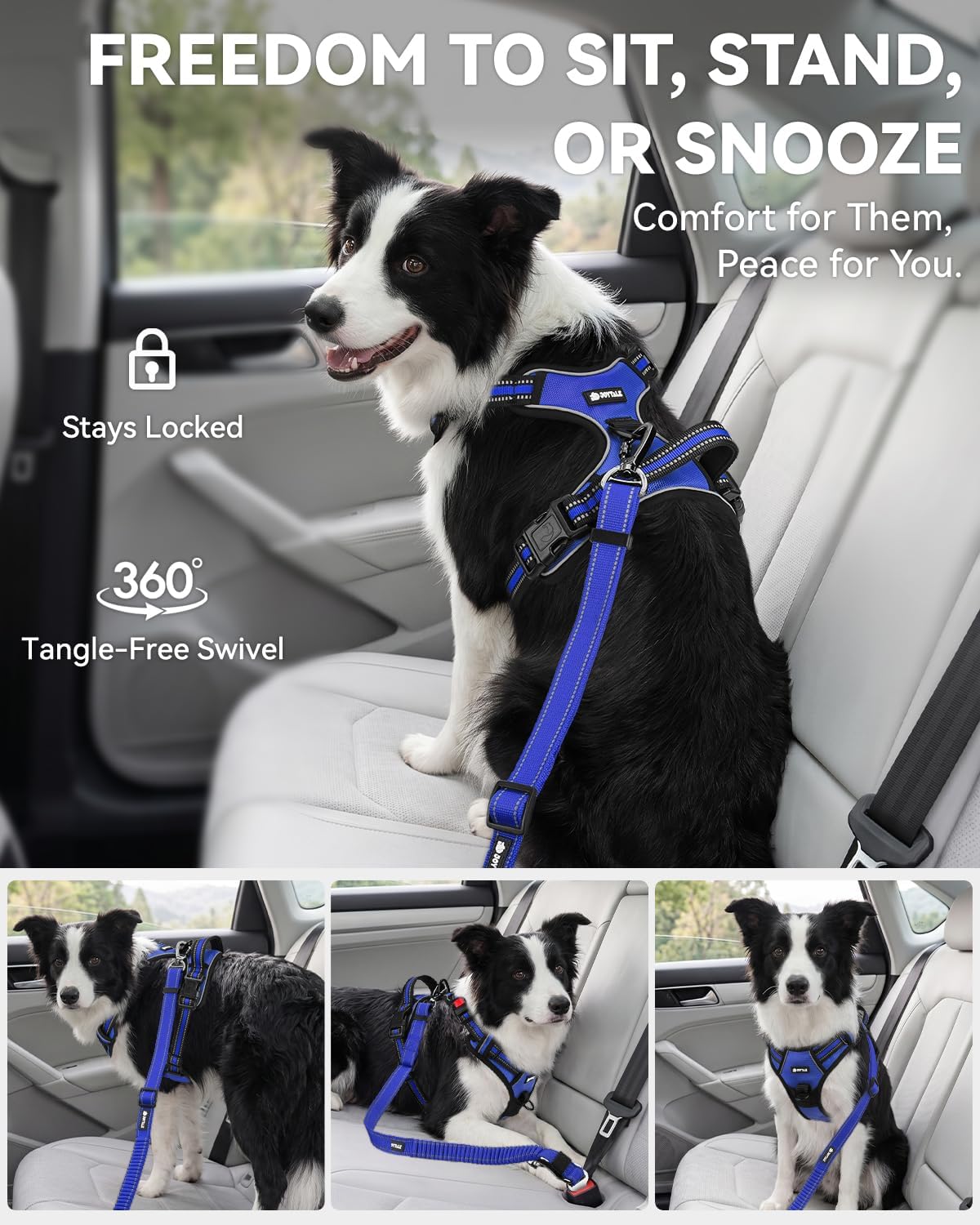 3-in-1 Bungee Dog Seat Belt for Car, Medium and Large Dogs, Black