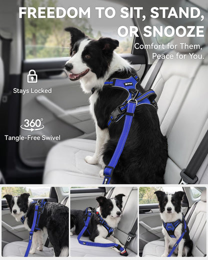 3-in-1 Bungee Dog Seat Belt for Car, Medium and Large Dogs, Black