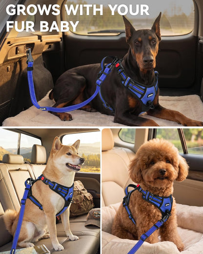 3-in-1 Bungee Dog Seat Belt for Car, Medium and Large Dogs, Black