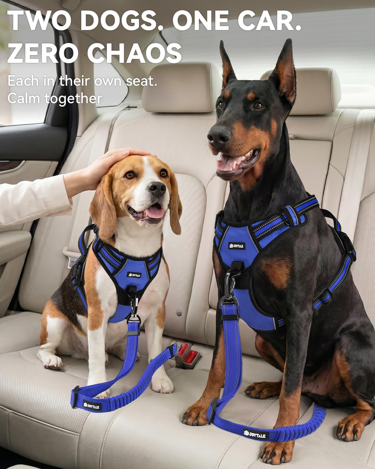 3-in-1 Bungee Dog Seat Belt for Car, Medium and Large Dogs, Black