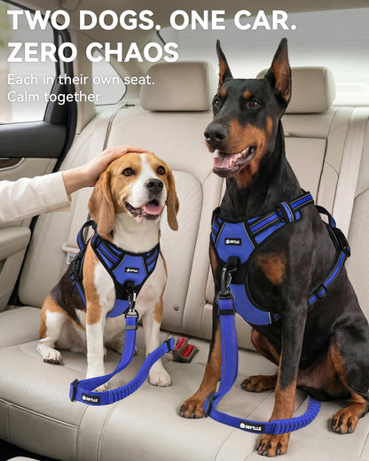 3-in-1 Bungee Dog Seat Belt for Car, Medium and Large Dogs, Black
