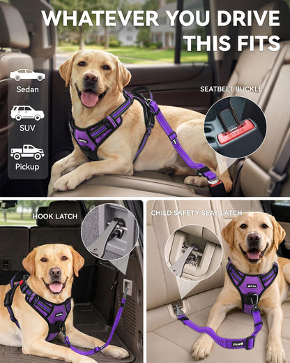 3-in-1 Bungee Dog Seat Belt for Car, Medium and Large Dogs, Black