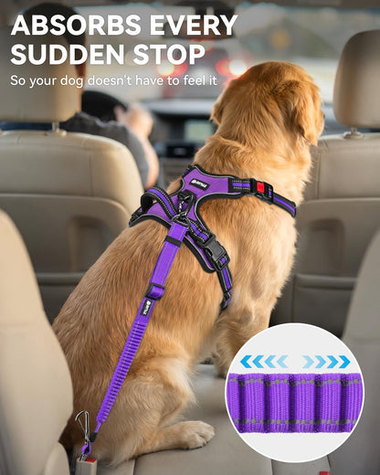 3-in-1 Bungee Dog Seat Belt for Car, Medium and Large Dogs, Black