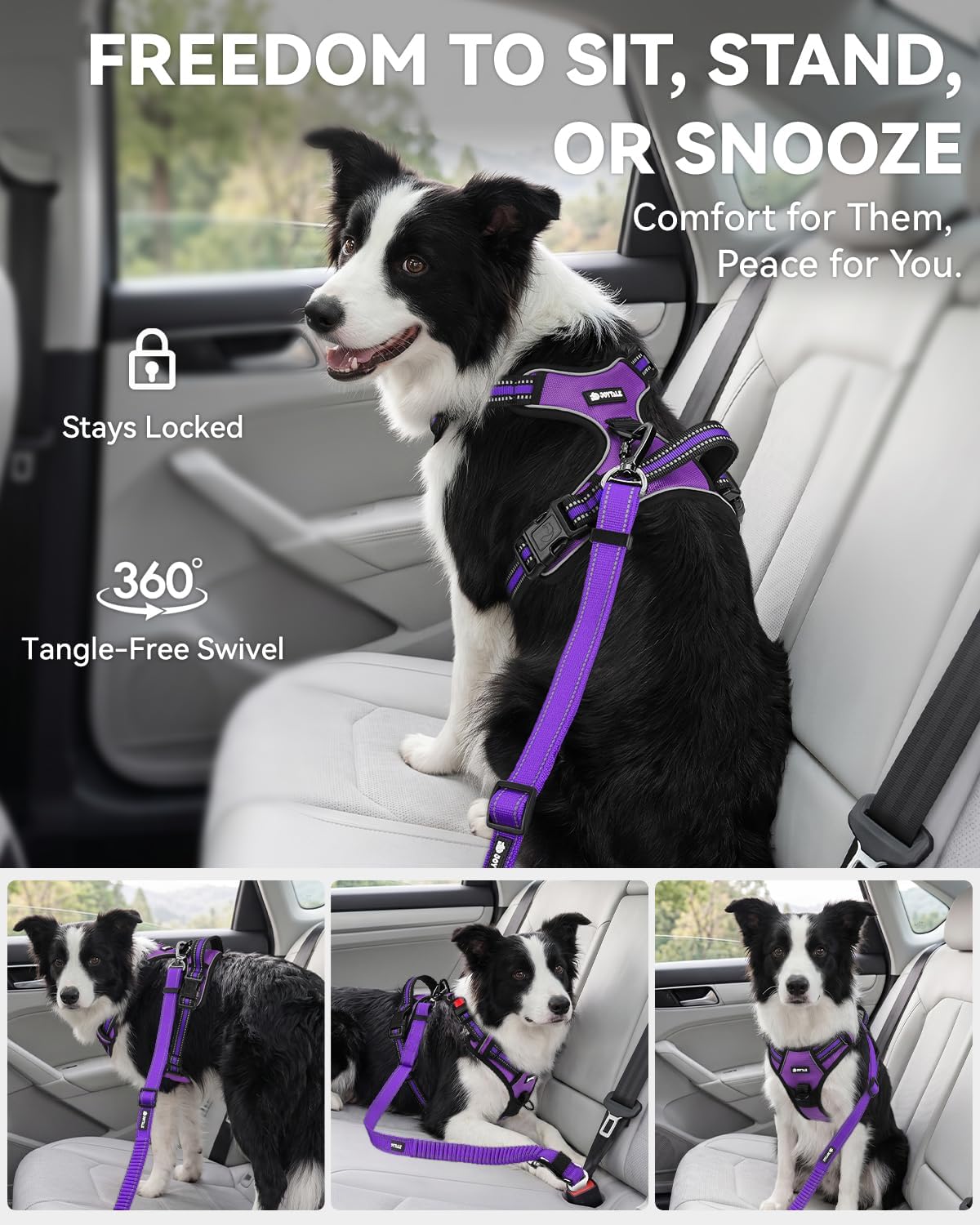 3-in-1 Bungee Dog Seat Belt for Car, Medium and Large Dogs, Black