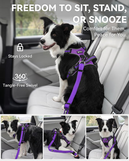 3-in-1 Bungee Dog Seat Belt for Car, Medium and Large Dogs, Black