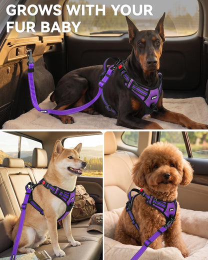 3-in-1 Bungee Dog Seat Belt for Car, Medium and Large Dogs, Black