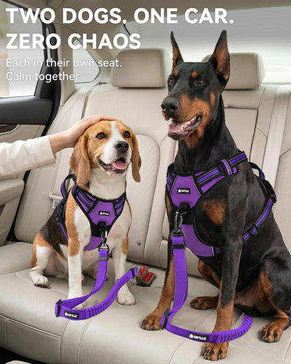 3-in-1 Bungee Dog Seat Belt for Car, Medium and Large Dogs, Black