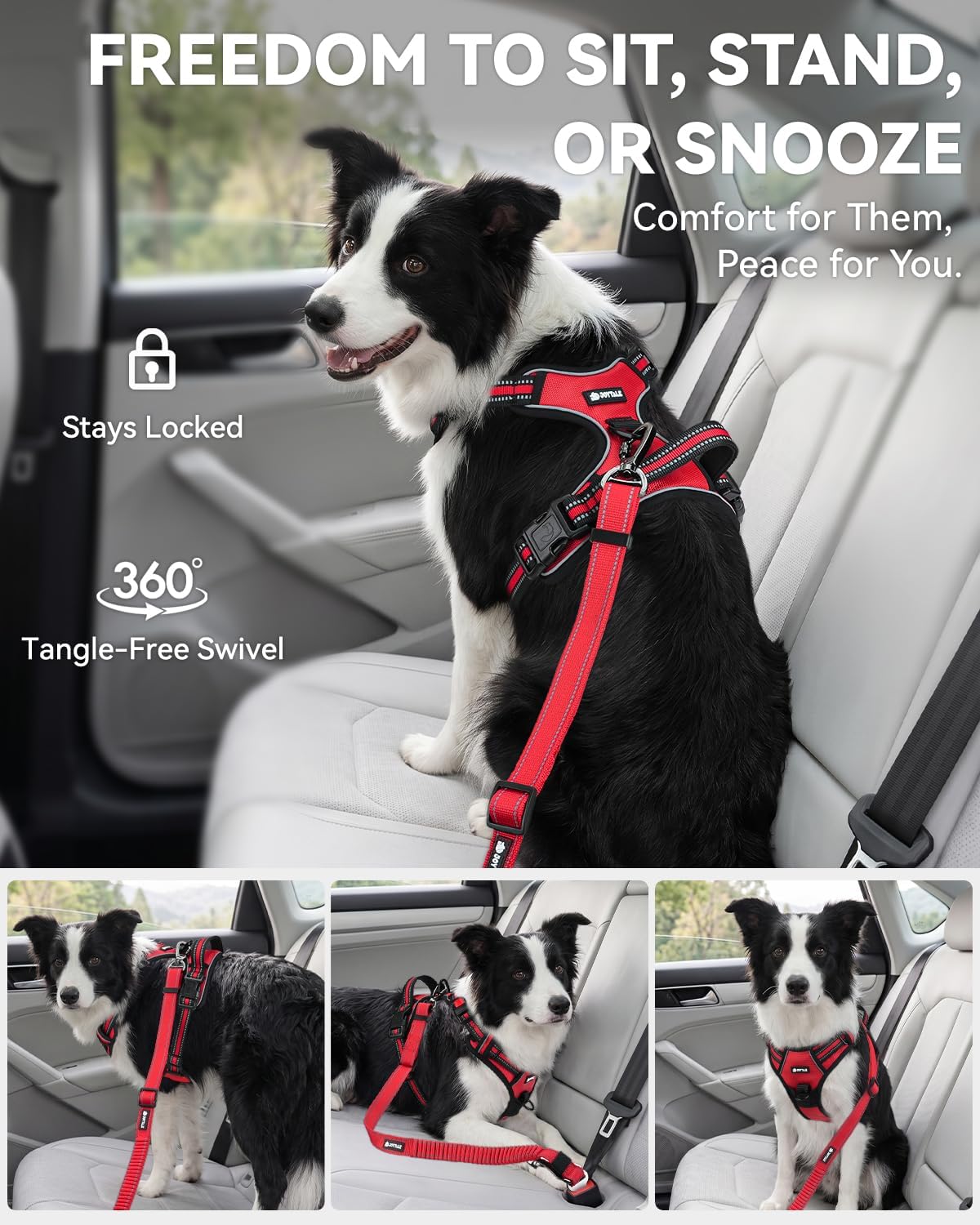 3-in-1 Bungee Dog Seat Belt for Car, Medium and Large Dogs, Black