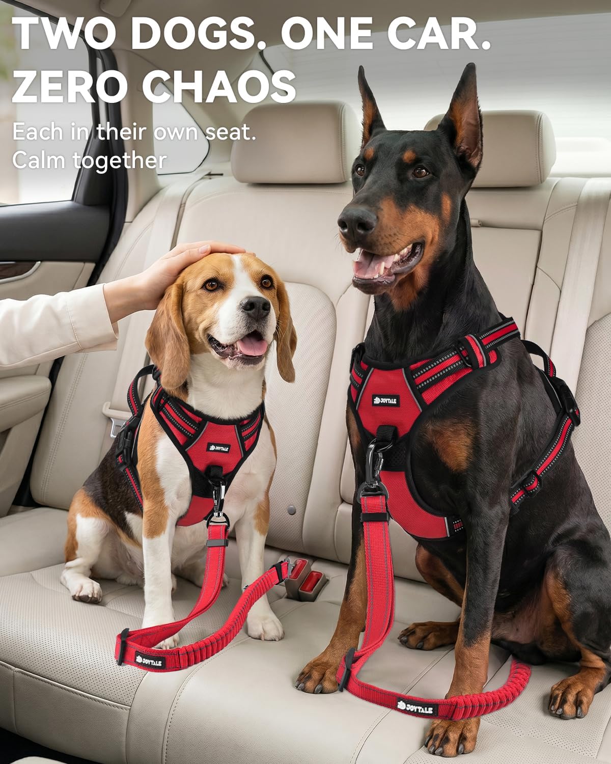 3-in-1 Bungee Dog Seat Belt for Car, Medium and Large Dogs, Black