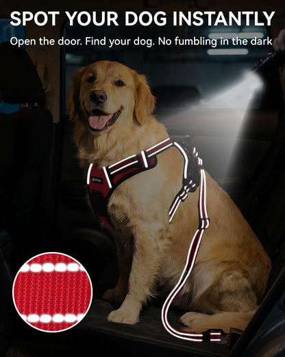 3-in-1 Bungee Dog Seat Belt for Car, Medium and Large Dogs, Black
