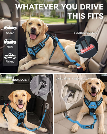 3-in-1 Bungee Dog Seat Belt for Car, Medium and Large Dogs, Black
