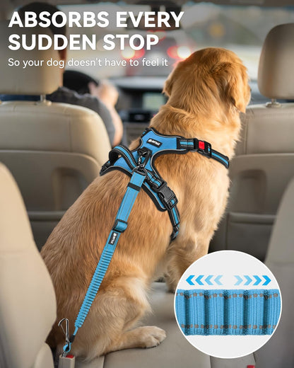 3-in-1 Bungee Dog Seat Belt for Car, Medium and Large Dogs, Black