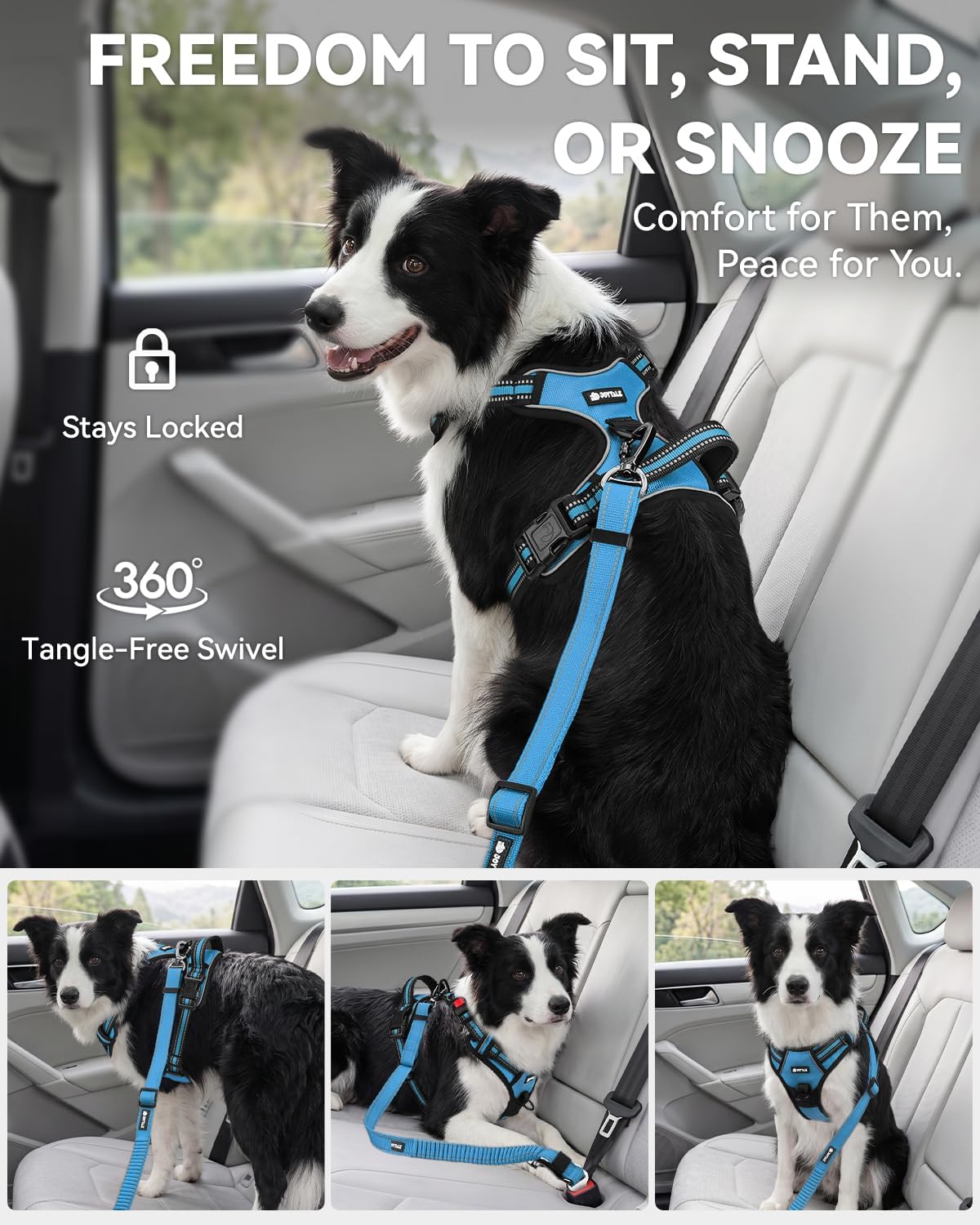 3-in-1 Bungee Dog Seat Belt for Car, Medium and Large Dogs, Black