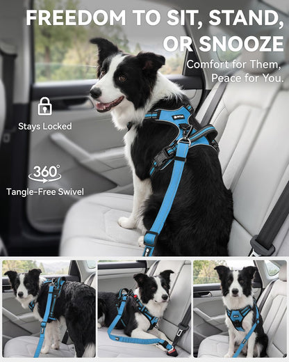 3-in-1 Bungee Dog Seat Belt for Car, Medium and Large Dogs, Black