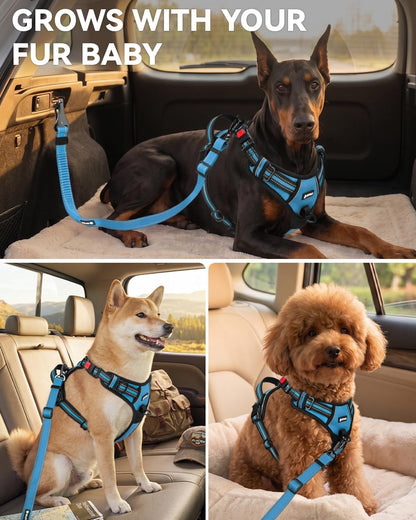 3-in-1 Bungee Dog Seat Belt for Car, Medium and Large Dogs, Black