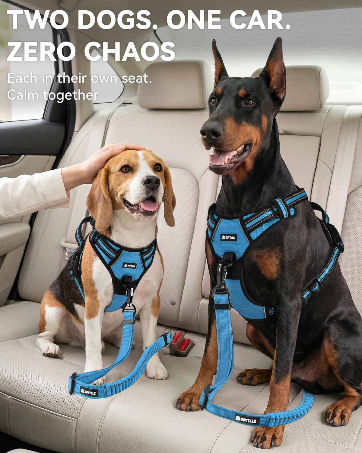 3-in-1 Bungee Dog Seat Belt for Car, Medium and Large Dogs, Black