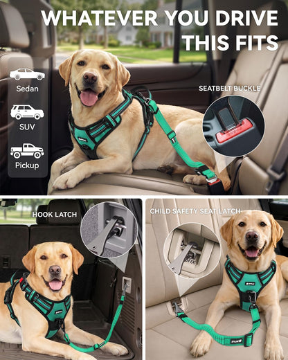 3-in-1 Bungee Dog Seat Belt for Car, Medium and Large Dogs, Black