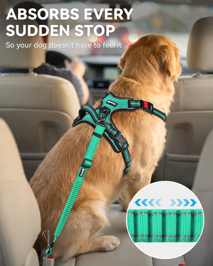 3-in-1 Bungee Dog Seat Belt for Car, Medium and Large Dogs, Black