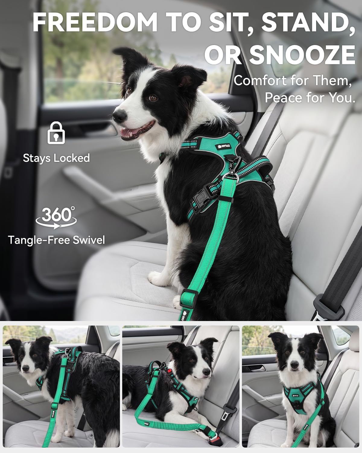 3-in-1 Bungee Dog Seat Belt for Car, Medium and Large Dogs, Black