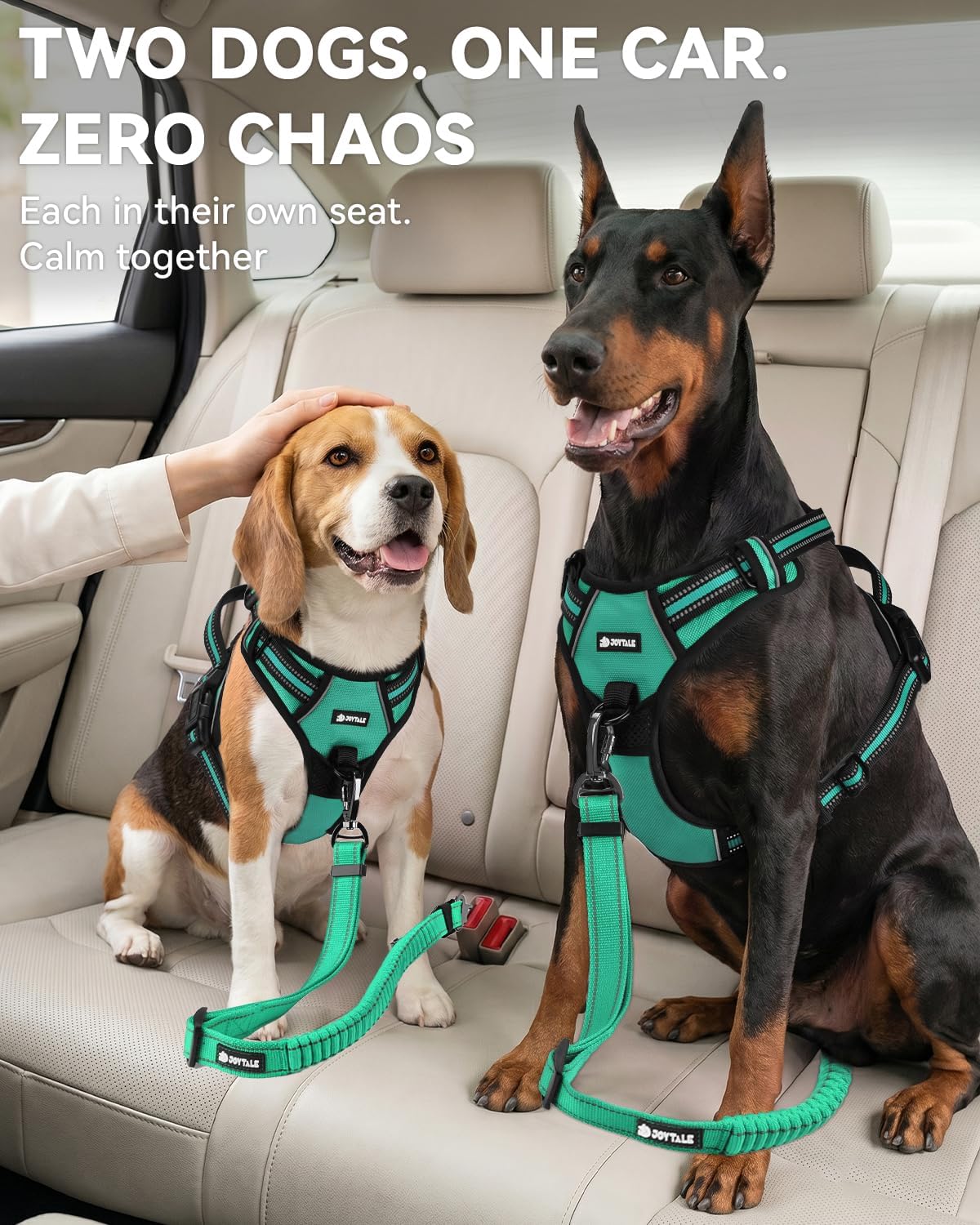 3-in-1 Bungee Dog Seat Belt for Car, Medium and Large Dogs, Black