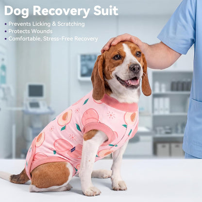 Recovery Suit for Dogs Surgery Surgical Dog Onesie, Yellow Duck, M