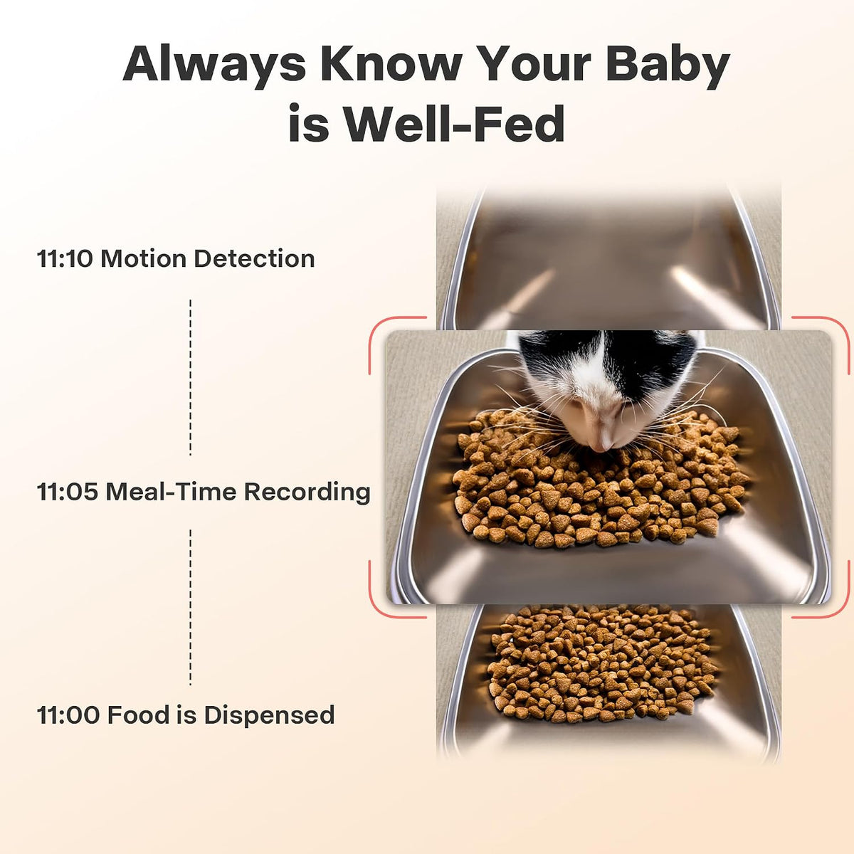 Automatic Dog Feeder with Elevated Stand - 7L Cat Food Dispenser with Large Food Tray, Timed Auto Cat Feeder for Dry Food, 6 Meals Per Day, No-Jam, Freshness Design, Detachable for Easy Clean