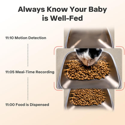 Automatic Dog Feeder with Elevated Stand - 7L Cat Food Dispenser with Large Food Tray, Timed Auto Cat Feeder for Dry Food, 6 Meals Per Day, No-Jam, Freshness Design, Detachable for Easy Clean