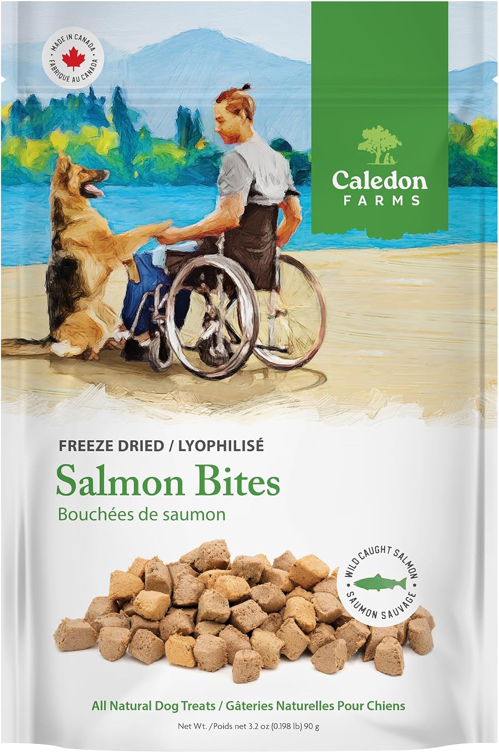 Freeze Dried Dog Treats - Salmon 3.2OZ