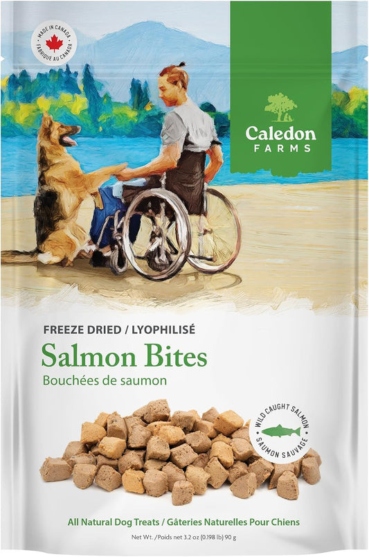 Freeze Dried Dog Treats - Salmon 3.2OZ