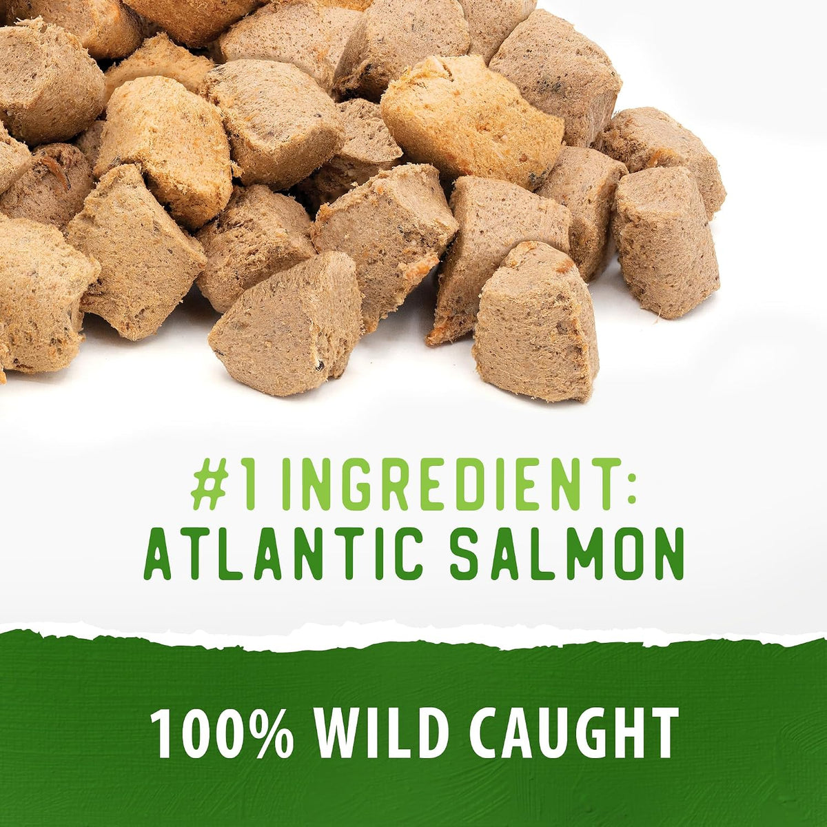 Freeze Dried Dog Treats - Salmon 3.2OZ