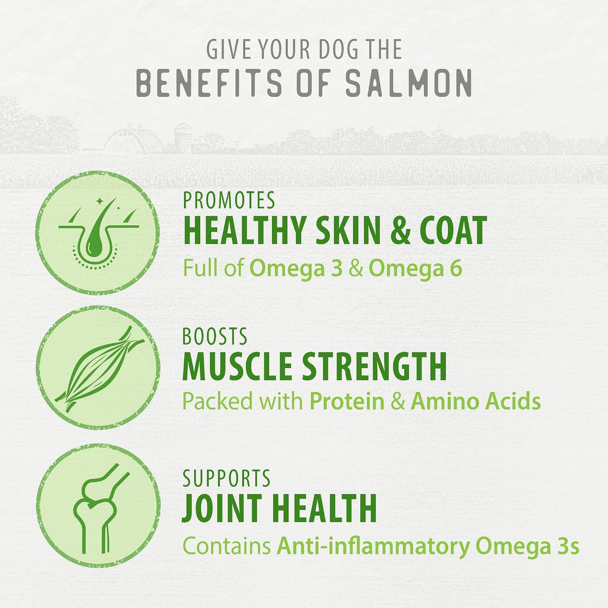 Freeze Dried Dog Treats - Salmon 3.2OZ