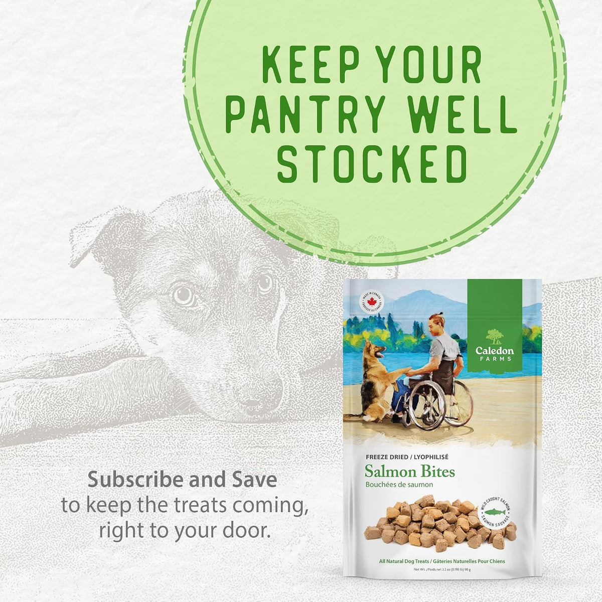Freeze Dried Dog Treats - Salmon 3.2OZ