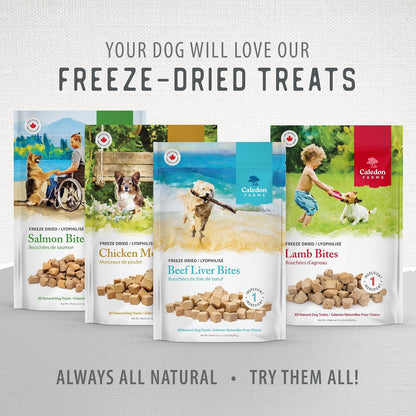 Freeze Dried Dog Treats - Salmon 3.2OZ