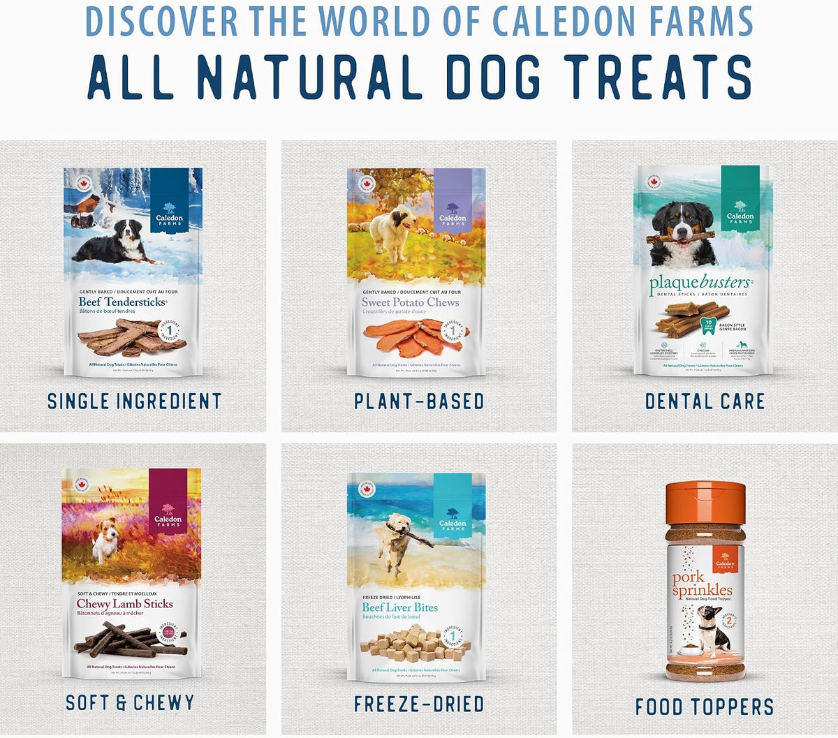 Freeze Dried Dog Treats - Salmon 3.2OZ
