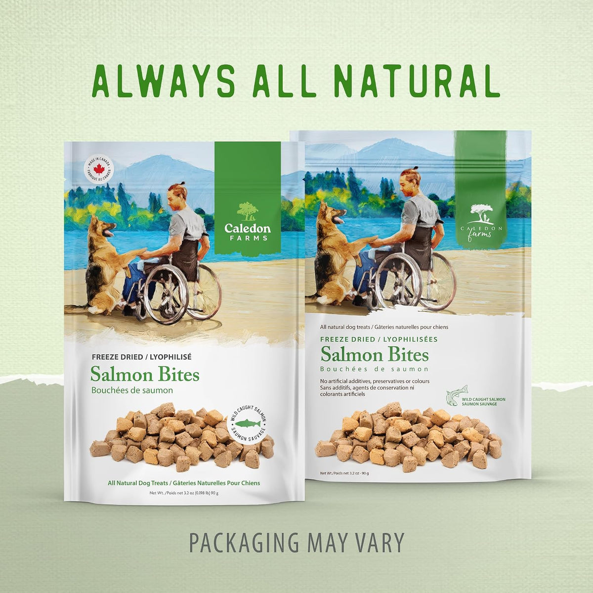 Freeze Dried Dog Treats - Salmon 3.2OZ